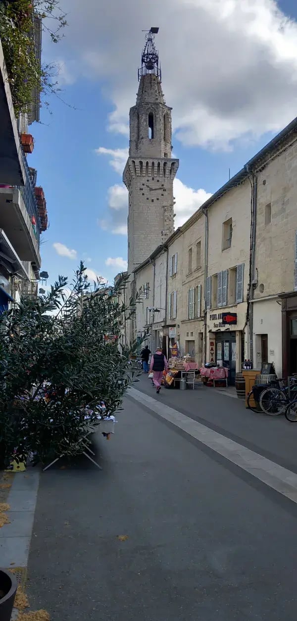 Sur les pas des amours de petrarque au coeur d avignon